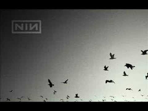 Ranker Video