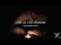 Sail north  tale of the shadow official lyric