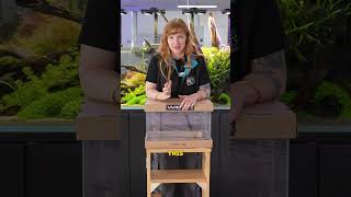 What would you put in a 30 litre aquarium? #aquascaping  #aquarium #fishkeeping #plantedtank