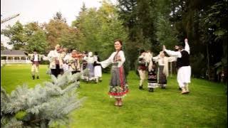 Niculina Stoican  - Iubeste-ma puisor