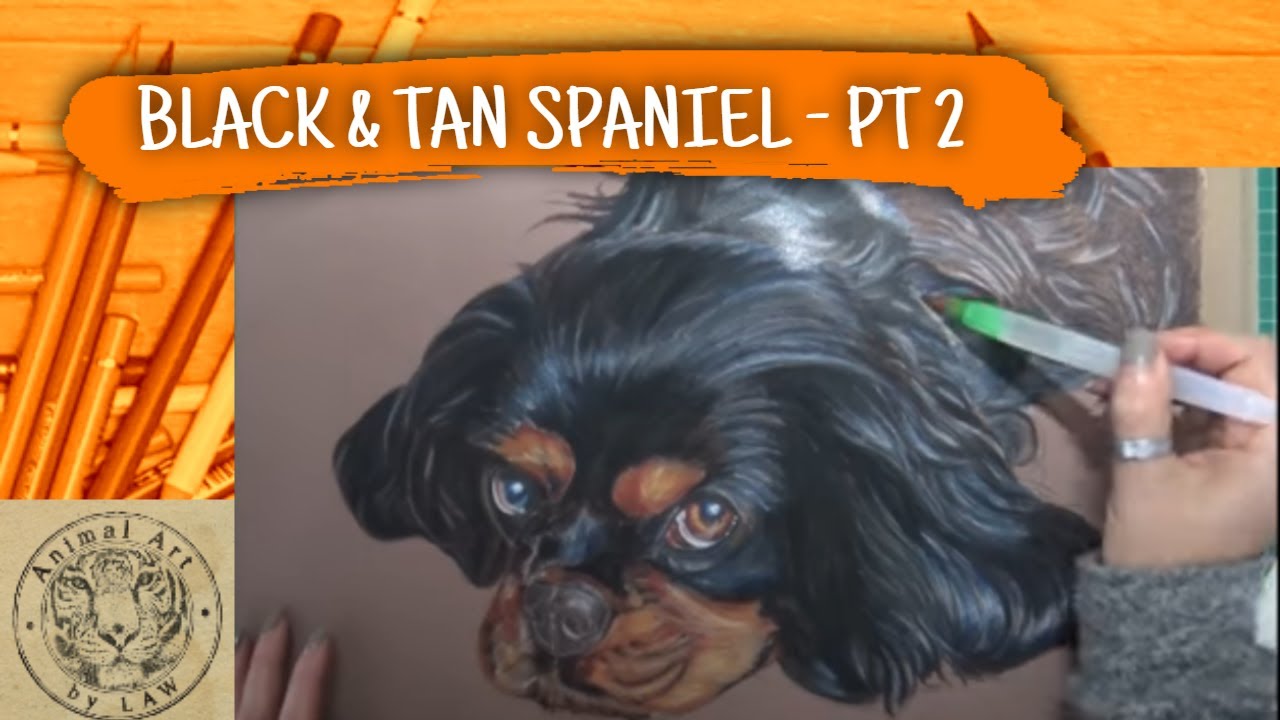 Watercolour Pencil Underpainting Tutorial - Dog Portrait - Youtube