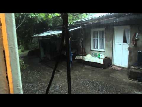 წვიმა ჩემს ეზოში 2