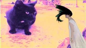 Soko - "Destruction Of The Disgusting Ugly Hate" (Official Video)