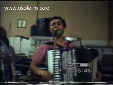 19.Mieluta Bibescu, Giani