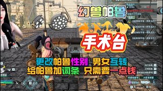 幻獸帕魯 6月25日更新 手術台給帕魯轉性別給帕魯加詞條！