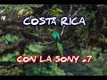 Soy fotógrafo / Capítulo 22 📷 Probando la Sony a7 (vs la Canon 5D mkIII) en Costa Rica 🇨🇷🦜