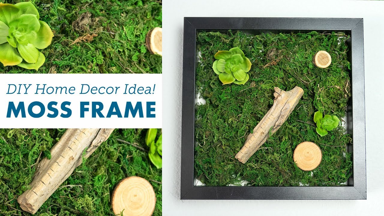 DIY- How To Make A Framed Craft Moss Decor