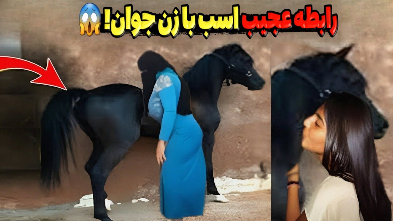فیلم سکس زن با اسب