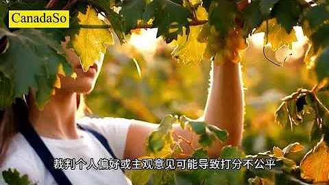 陪睡換冠軍沒兌現？女模特脫高跟鞋砸裁判後續來了 ... #今日熱搜 #女模特 #模特比賽 - 天天要聞