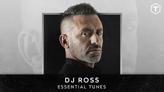 Celebrity DJ ROSS - Dj Ross (Essential Tunes) Wealth