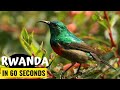 RWANDA In 60 Seconds | A Trip Around The Country In Just A Minute