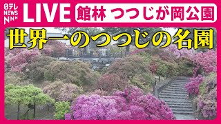 【天気ライブ】“世界一のつつじの名園”館林市つつじが岡公園 ──The world's best azalea garden Gunma, Tatebayashi City（日テレNEWS LIVE）