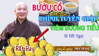 Bài thuốc đơn giản từ SEN Trắng trị BƯỚU CỔ, U Tuyến Giáp, Viêm Đường Tiểu hiệu quả | Chùa Pháp Tạng