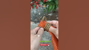 Make this camping knot #shorts #campinghacks #campingknots #git #knot @DoiT_03