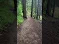 you're not behind #forest