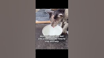 Link in our bio to donate. Every little bit counts