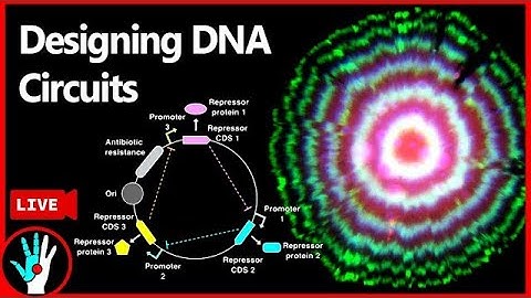 [LIVE]  Programming DNA circuits | Learn Real Genetic Engineering - Part 3