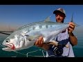 Dubai Queenfish on Fly