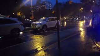 Heavy Rain Storm NYC 2016 - Dog walking Fizzy by New York Dogs 54 views 1 year ago 19 minutes