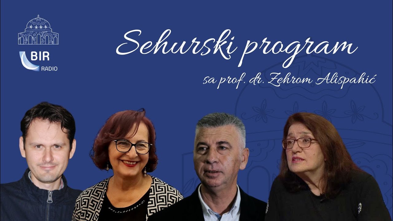 Sehurski program 