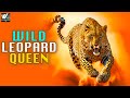 The Leopard Queen - Wild Africa | हिन्दी डॉक्यूमेंट्री | Wildlife Documentary in (हिंदी) Documentary