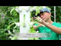 Loo urban farm - Vertical Aquaponics Farm, Georgetown, Malaysia