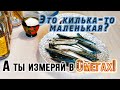 Килька. Смешная рыба - это серьёзно!