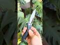 Kubey Veloce S90V Titanium Frame Lock Black #edc large Velocé Sherif Manganas Knife Design