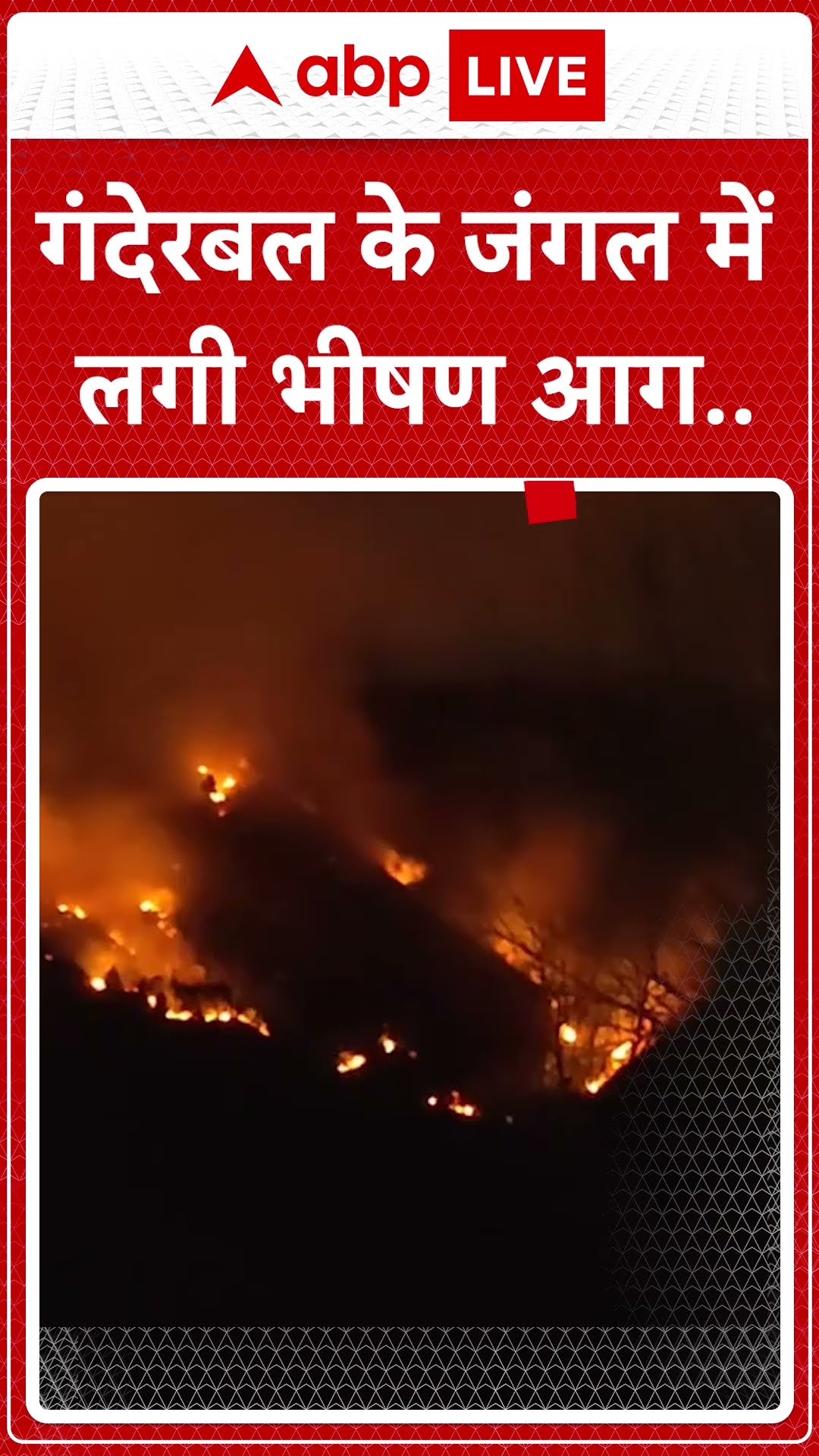 गंदेरबल के जंगल में लगी भीषण आग
