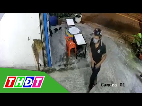 Video Những cái điện thoại 