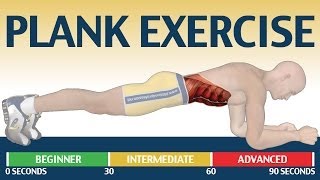 How to Plank exercise : The Ultimate Fitness Guide screenshot 5