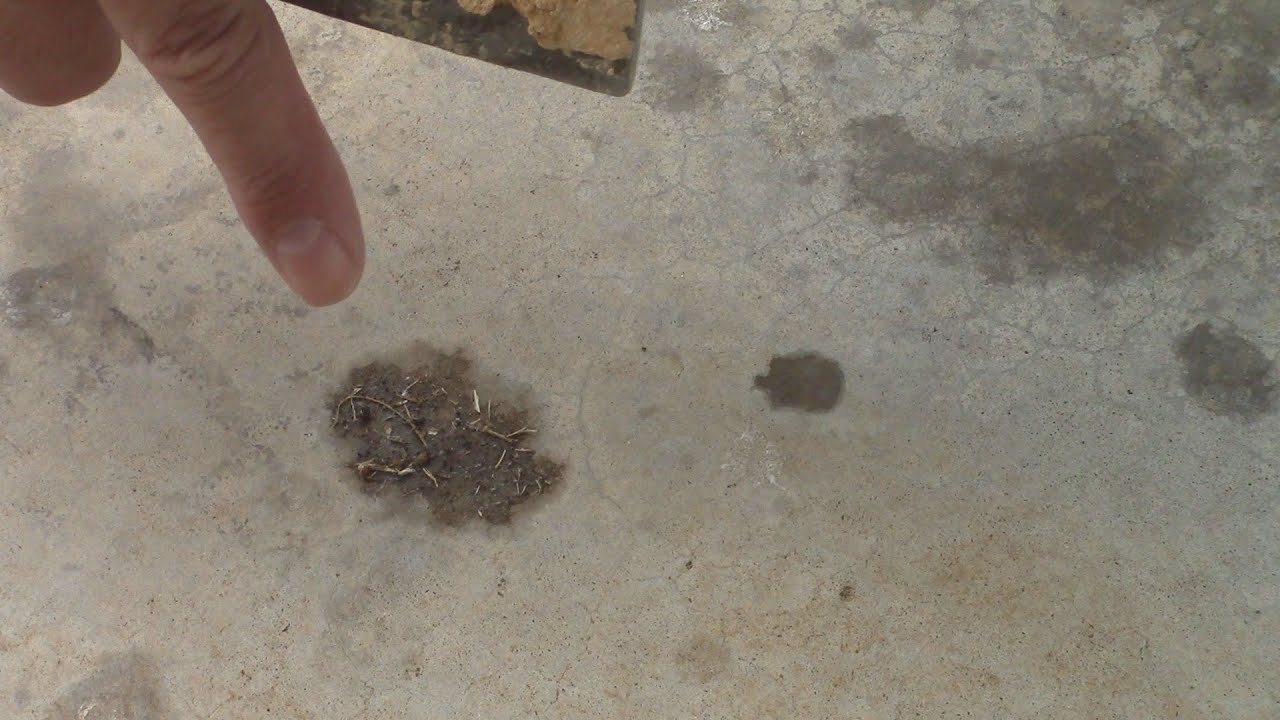 How To Remove Grease From Patio Grill Droppings Youtube