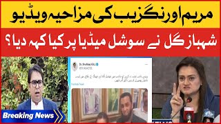Shahbaz Gill Comment On Maryam Aurangzeb Funny Video | Breaking News