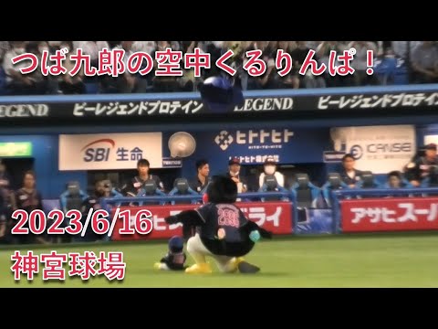 つば九郎の空中くるりんぱ！ 2023/6/16