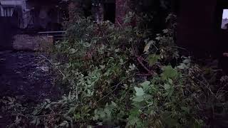 Moldova Trip, 16 09.10.2025 1842 Order