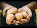 Growing Your Own Food From Seed