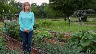 Alabama Smart Yards: Mulch