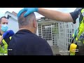 Man laughs after being arrested for killing his neighbour