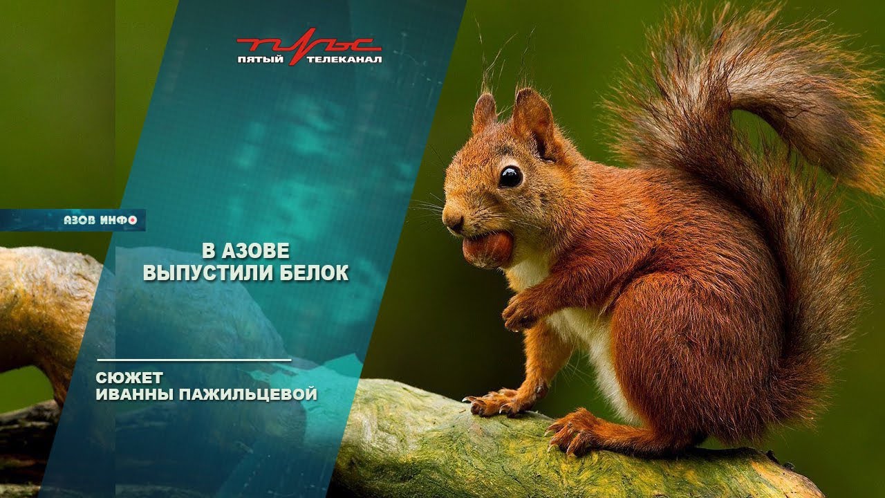 В Азове выпустили белок - YouTube