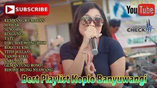 Lagu Banyuwangi Koplo ~ Dini Kurnia,Denik Armila,Syahiba Saufa,Anggun Pramudita || Koplo Viral