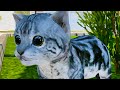 Симулятор Кота - Жизнь Животных #1 Маленький котенок Cat Simulator Animal Life с Кидом на пурумчата