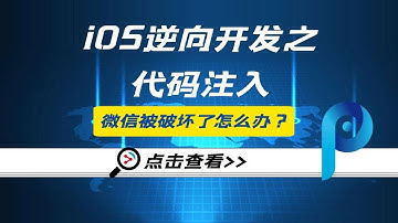iOS逆向开发，代码注入，窃取登录密码调试分析