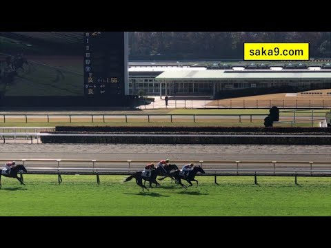 【現地】ジュンブロッサム 2歳未勝利 レコード