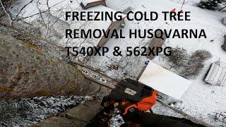 Freezing cold tree removal between houses | Husqvarna T540XP & 562XPG by patkarlsson 5,388 views 1 year ago 21 minutes