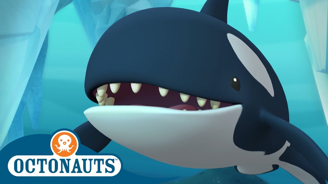 StayHome Octonauts - Beneath the Ice | Full Episodes | Cartoons for Kids -  YouTube
