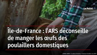 Île-de-France : l’ARS déconseille de manger les œufs des poulaillers domestiques