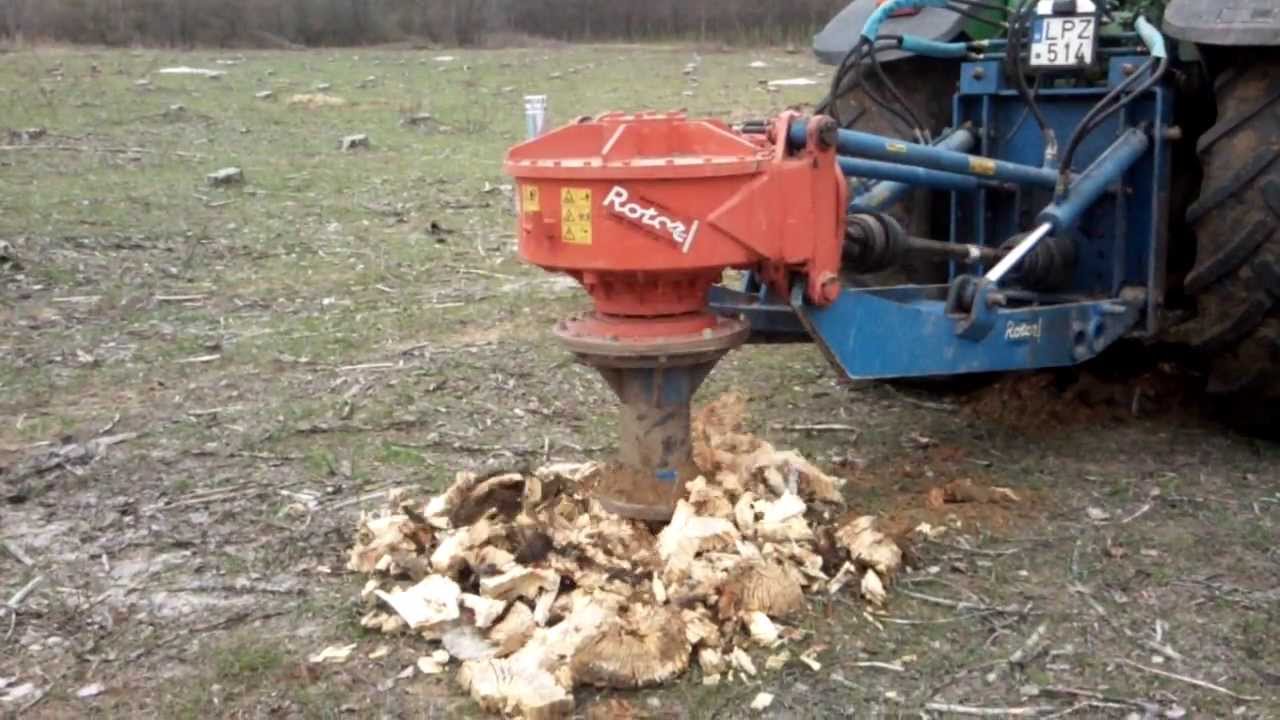 gyermekeknél ízületi fertőzések és kiütések