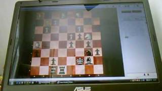 20090602 Queen's Gambit Botvinnik variation
