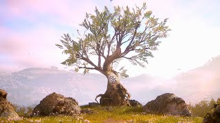 Hellblade 2 Senua's Saga All Faces/Tree Locations 4K Ultra Hd