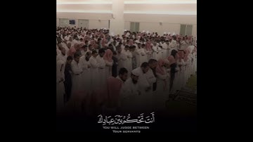 تلاوة جميلة للشيخ ناصر القطامي 🤍 ~| حالات واتس دينية